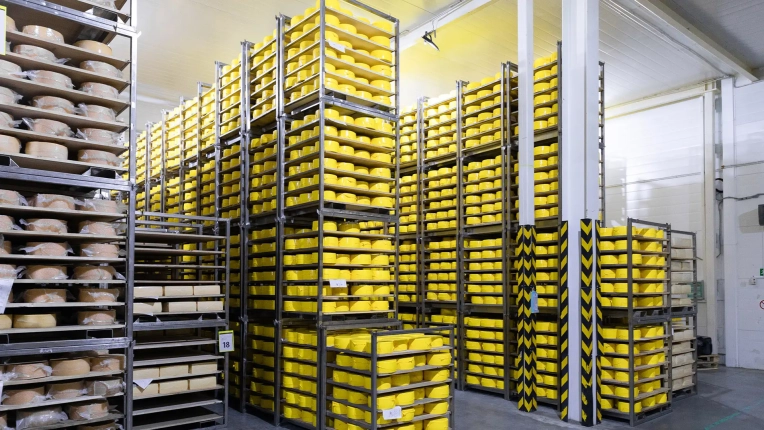 Mak Food ile Sağlıklı ve Lezzetli Bir Geleceğe Yolculuk