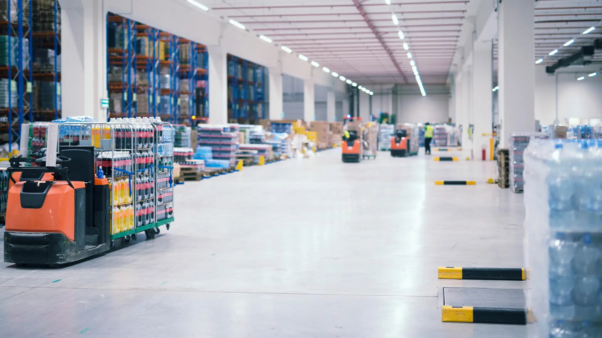 Mak Food ile Sağlıklı ve Lezzetli Bir Geleceğe Yolculuk